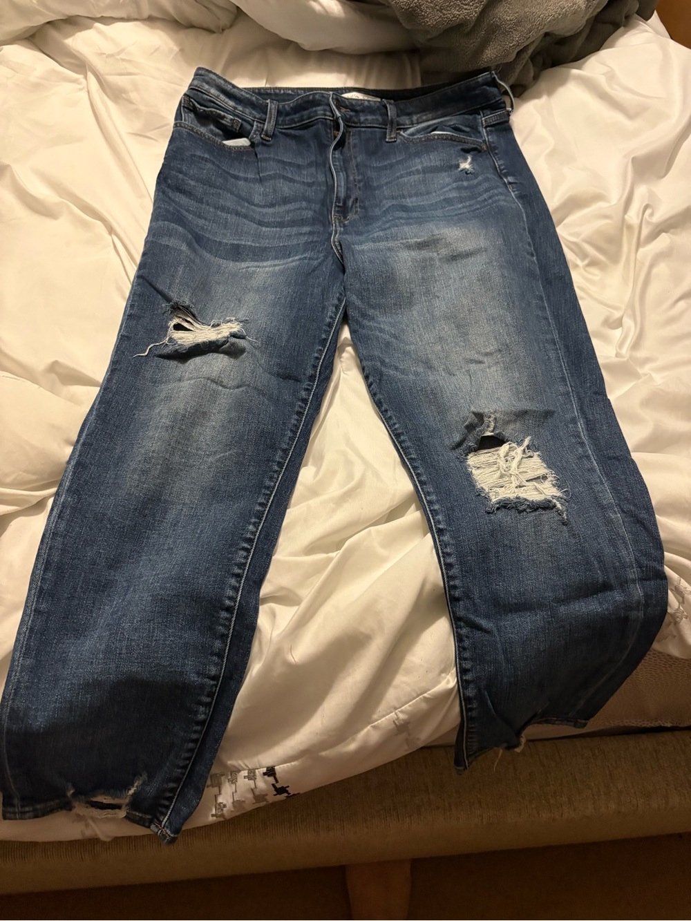 Buckle Willow & Root Distressed Blue Denim Ripped Jeans